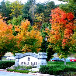 properties for sale in Straus Park