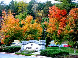 properties for sale in Straus Park