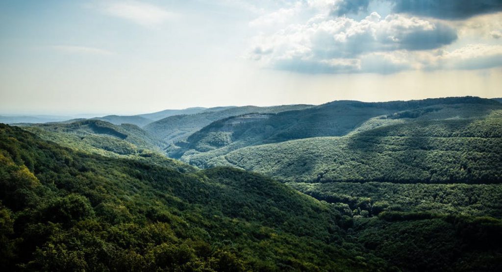brevard nc national and state parks