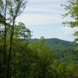glen cannon real estate pisgah forest nc