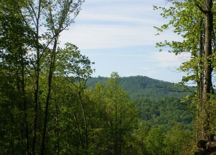 glen cannon real estate pisgah forest nc