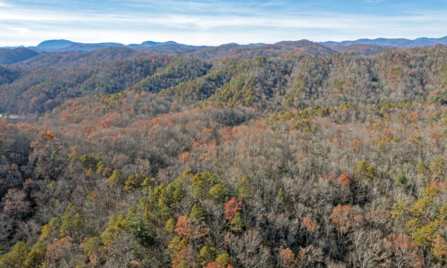 200+/-acres in Transylvania County, NC